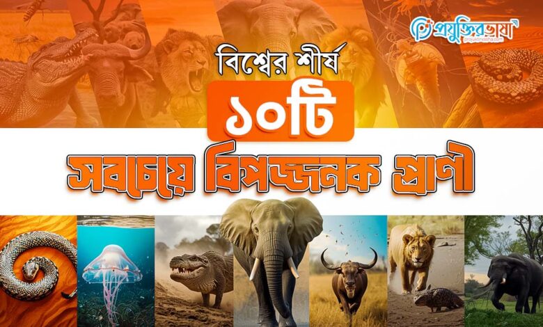 বিশ্বের শীর্ষ ১০টি সবচেয়ে বিপজ্জনক প্রাণী