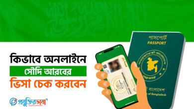 কিভাবে অনলাইনে সৌদি আরবের ভিসা চেক করবেন