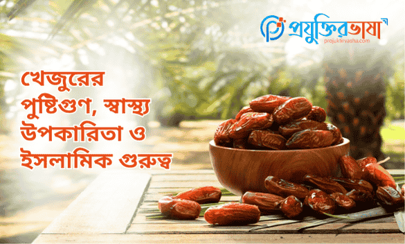 খেজুরের পুষ্টিগুণ, স্বাস্থ্য উপকারিতা ও ইসলামিক গুরুত্ব