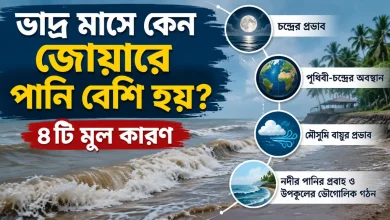 ভাদ্র মাসে কেন জোয়ারে পানি বেশি হয়