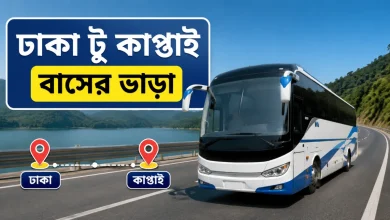 ঢাকা টু কাপ্তাই বাসের ভাড়া