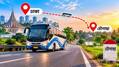 ঢাকা টু চৌগাছা বাসের ভাড়া